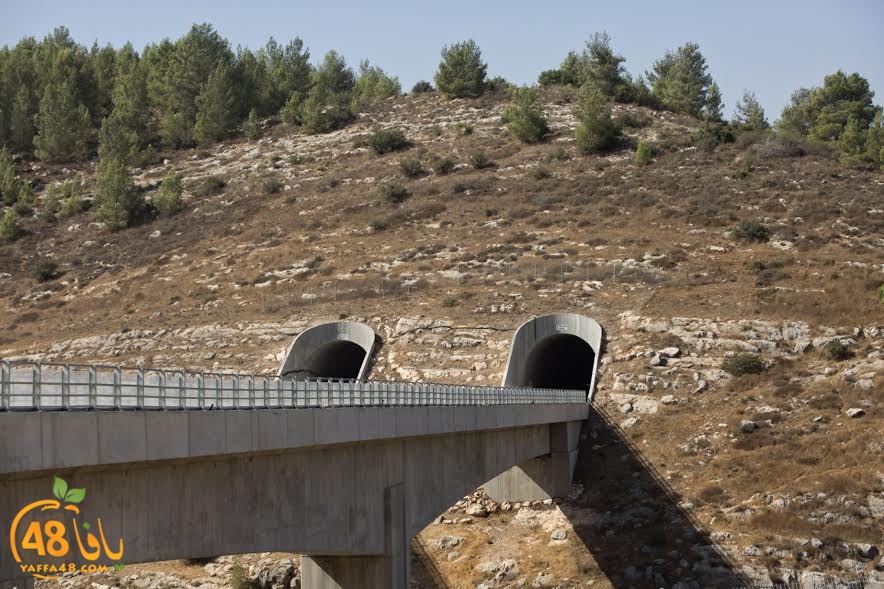 fast train3 (11).jpg